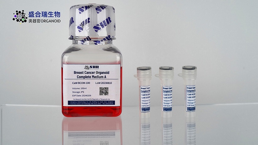 类器官科研服务-盛合瑞生物