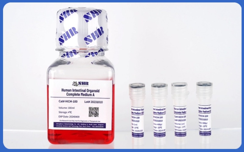 正常类器官培养试剂