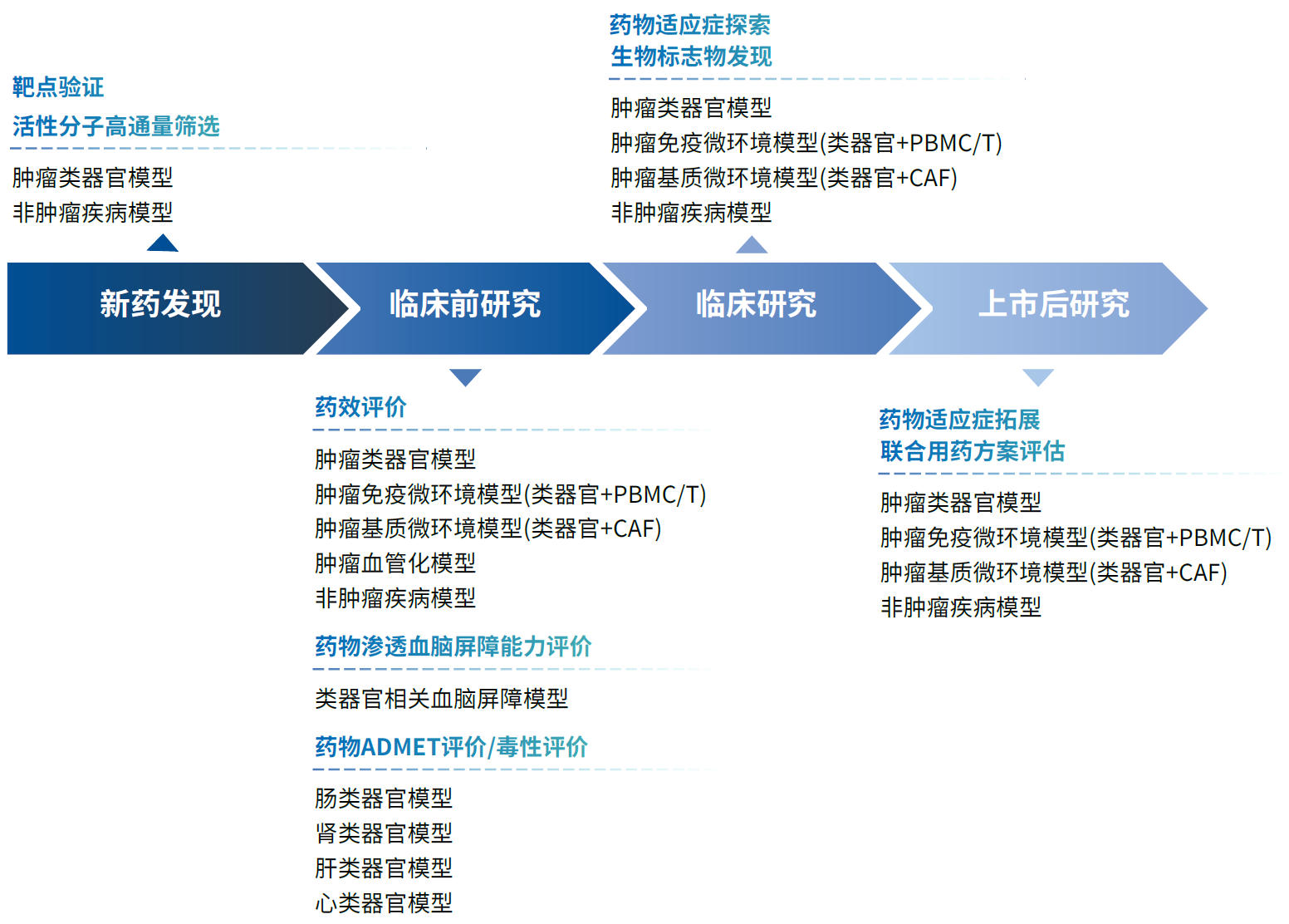 类器官在新药研发中的应用