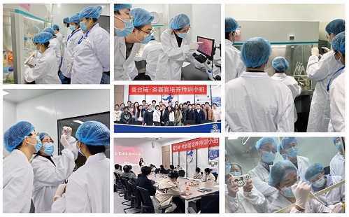 类器官培训服务