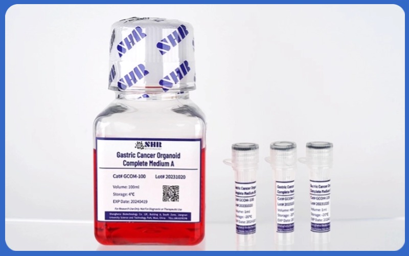 肿瘤类器官培养试剂